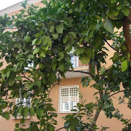 Al Vicoletto Di Trastevere Roma